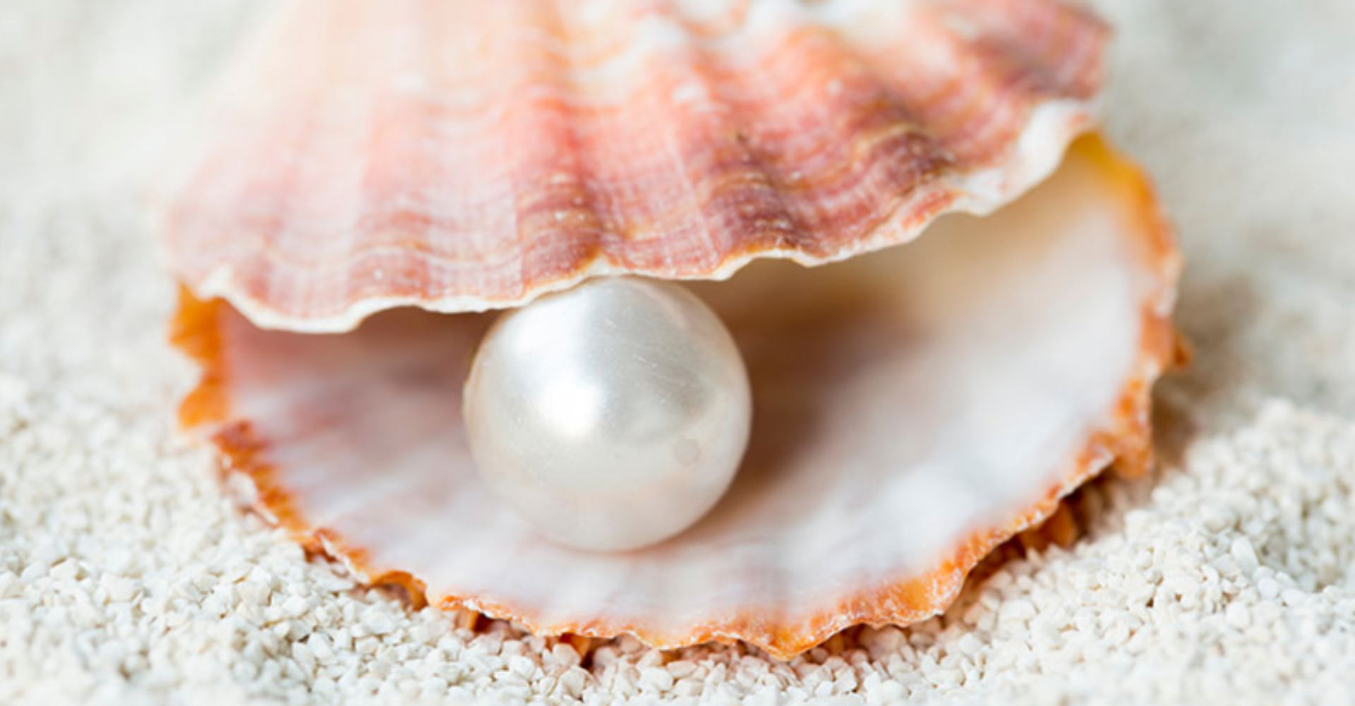 Pearl Jewelry – Timeless Elegance Reimagined in TESSORA Collections